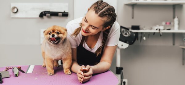 A smiling groomer leans over a grooming table to look at a small Pomeranian dog with its tongue sticking out.