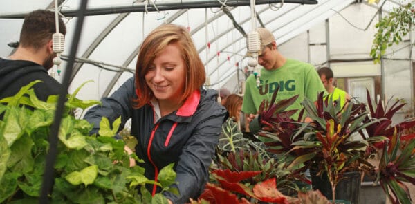 Horticulture students working in greenhouse