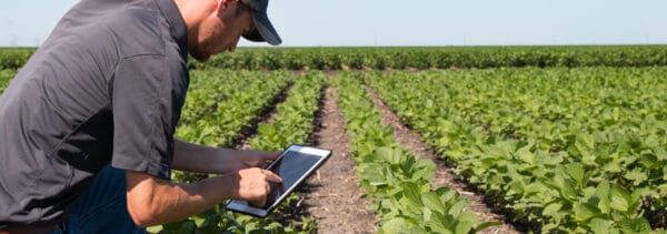 Environmental engineer gathering data in field