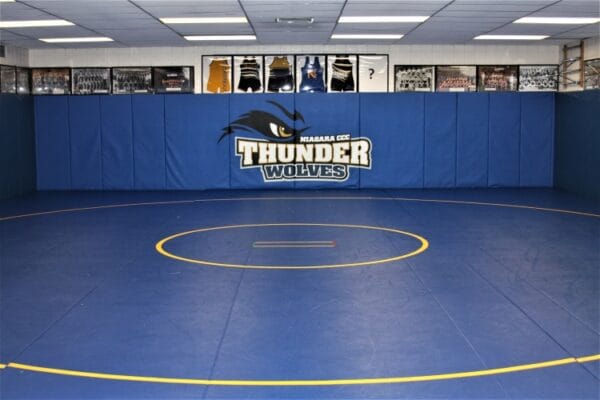 Wrestling Room (H-117)