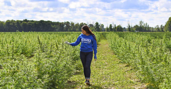 Student walking through a farm field