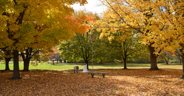 Veterans Memorial Park