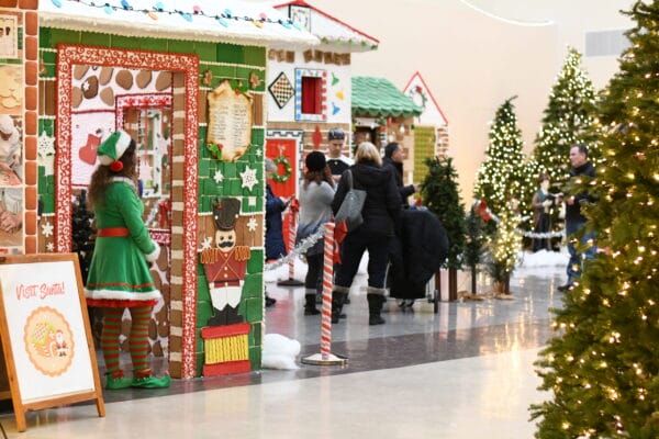 Gingerbread Wonderland