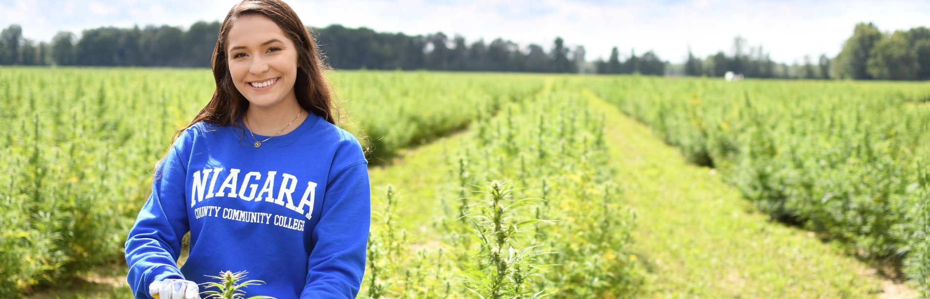 Conference Advertising Sizes and Specifications SUNY Niagara