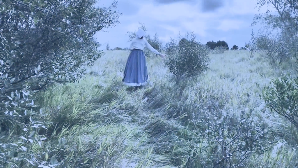 The Harvest Movie Thumbnail - Women in a gown walking in a large field of grass