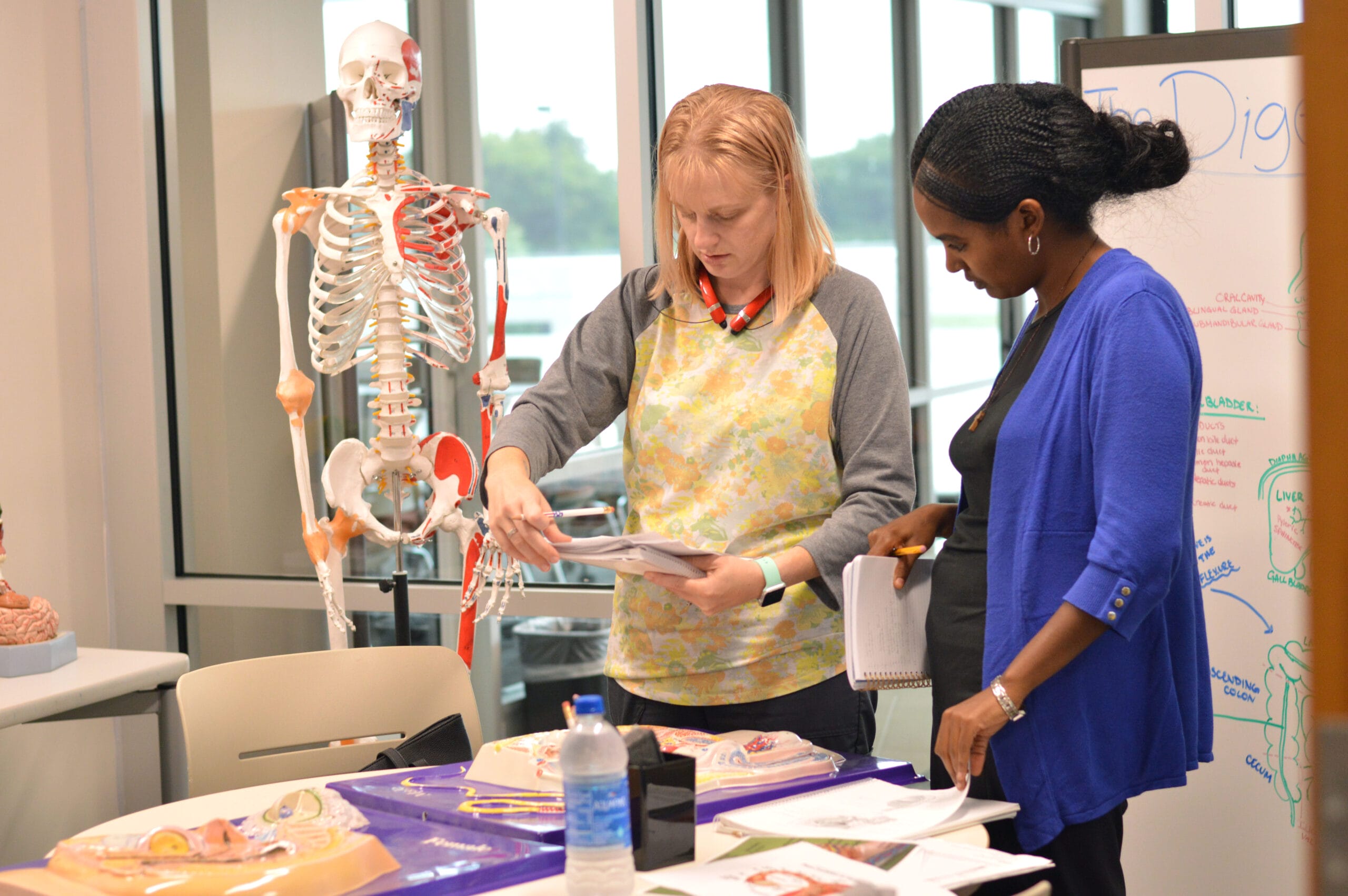 Student working with anatomy tutor in Academic Center for Excellence