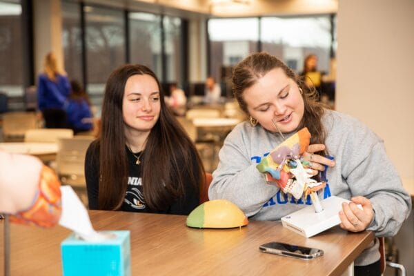 Two students in SUNY Niagara's library examining a model of a human skull with different colors depicting it's anatomy