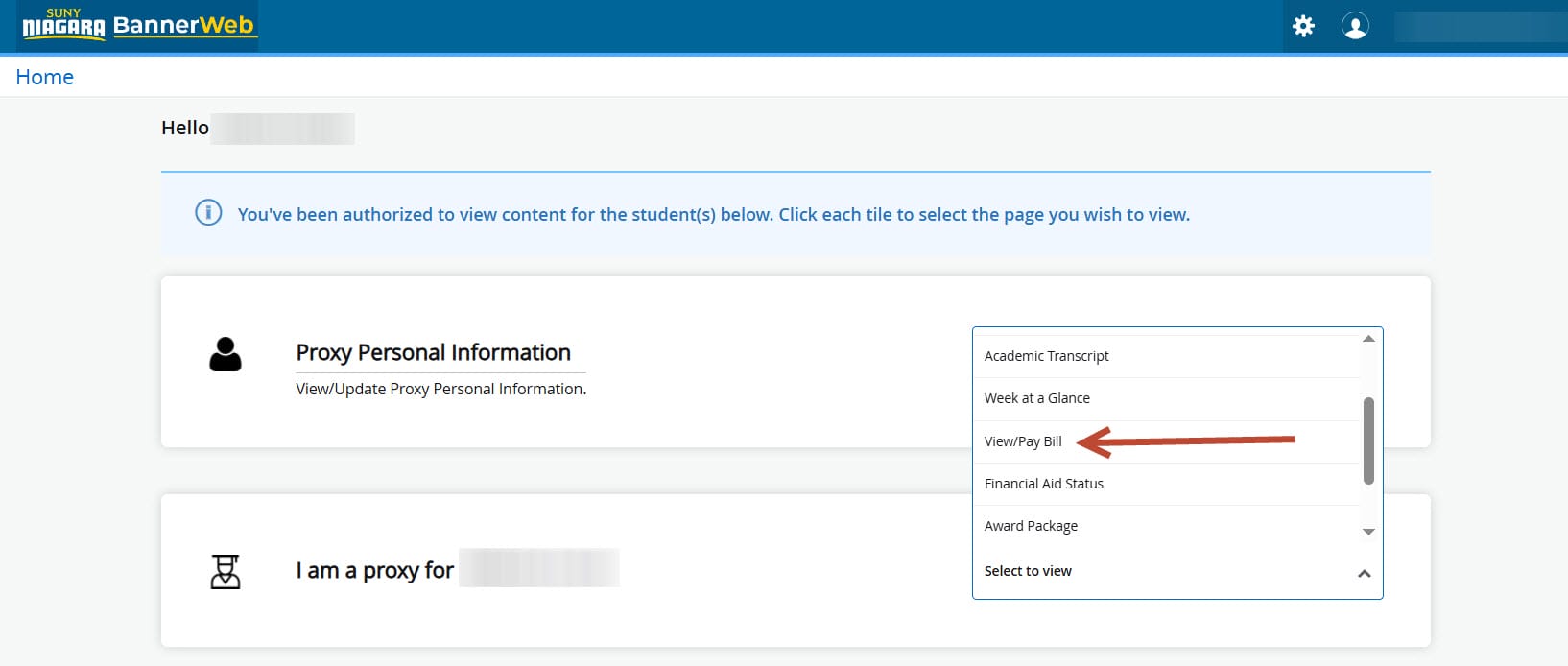 A screenshot of the SUNY Niagara Banner Web portal showing menu options, with an arrow pointing to View/Pay Bill in the dropdown menu under “Proxy Personal Information.”.