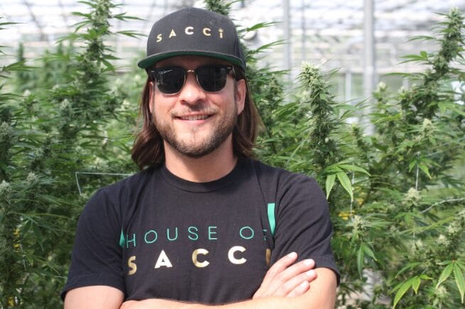 A man wearing a black cap, sunglasses, and a House of SACCI t-shirt stands smiling with his arms crossed in front of tall cannabis plants in a greenhouse.