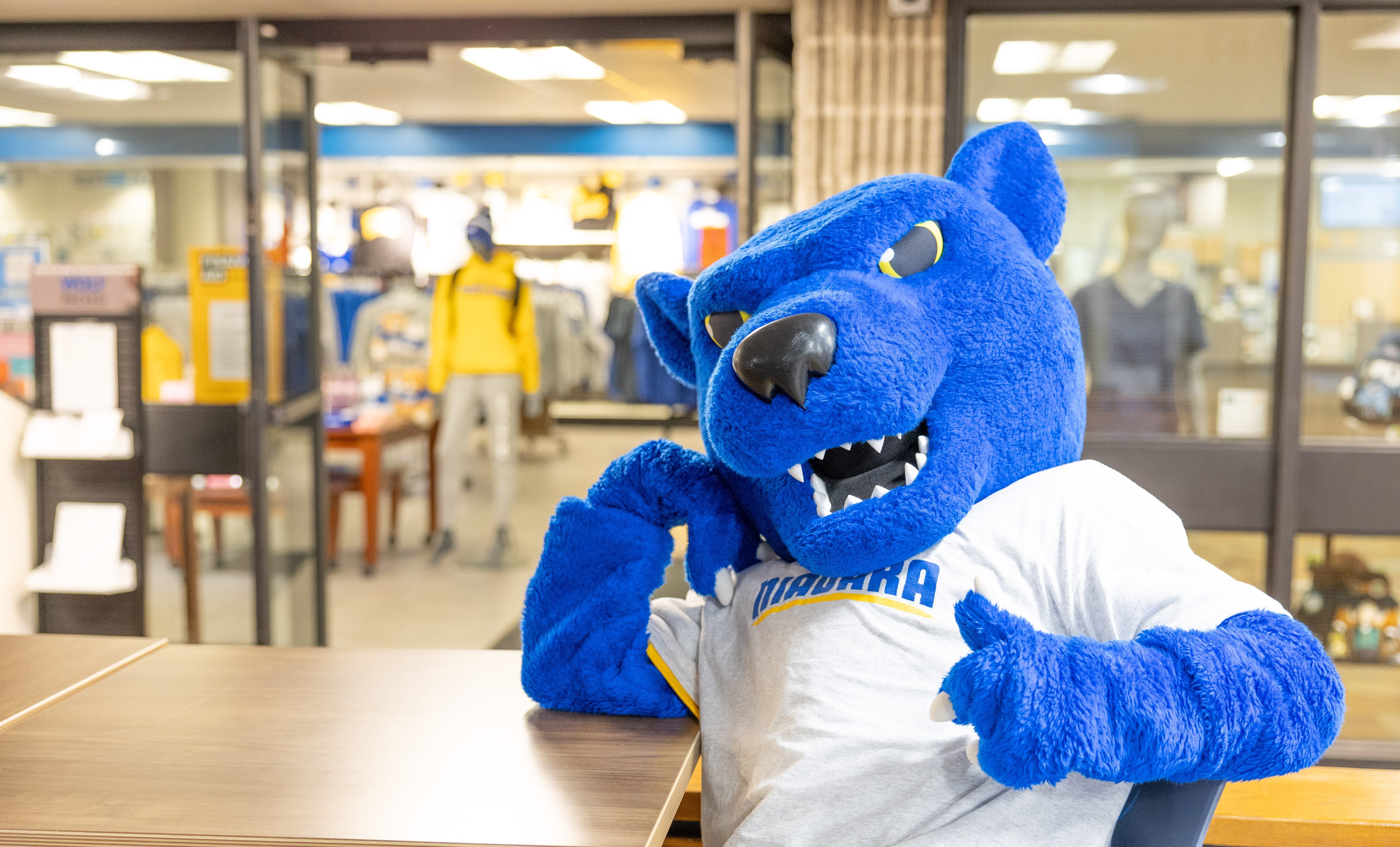 A person in a blue panther mascot costume wearing a Niagara T-shirt sits at a table indoors, striking a playful pose with thumbs up. The background shows a campus store with clothing displays.