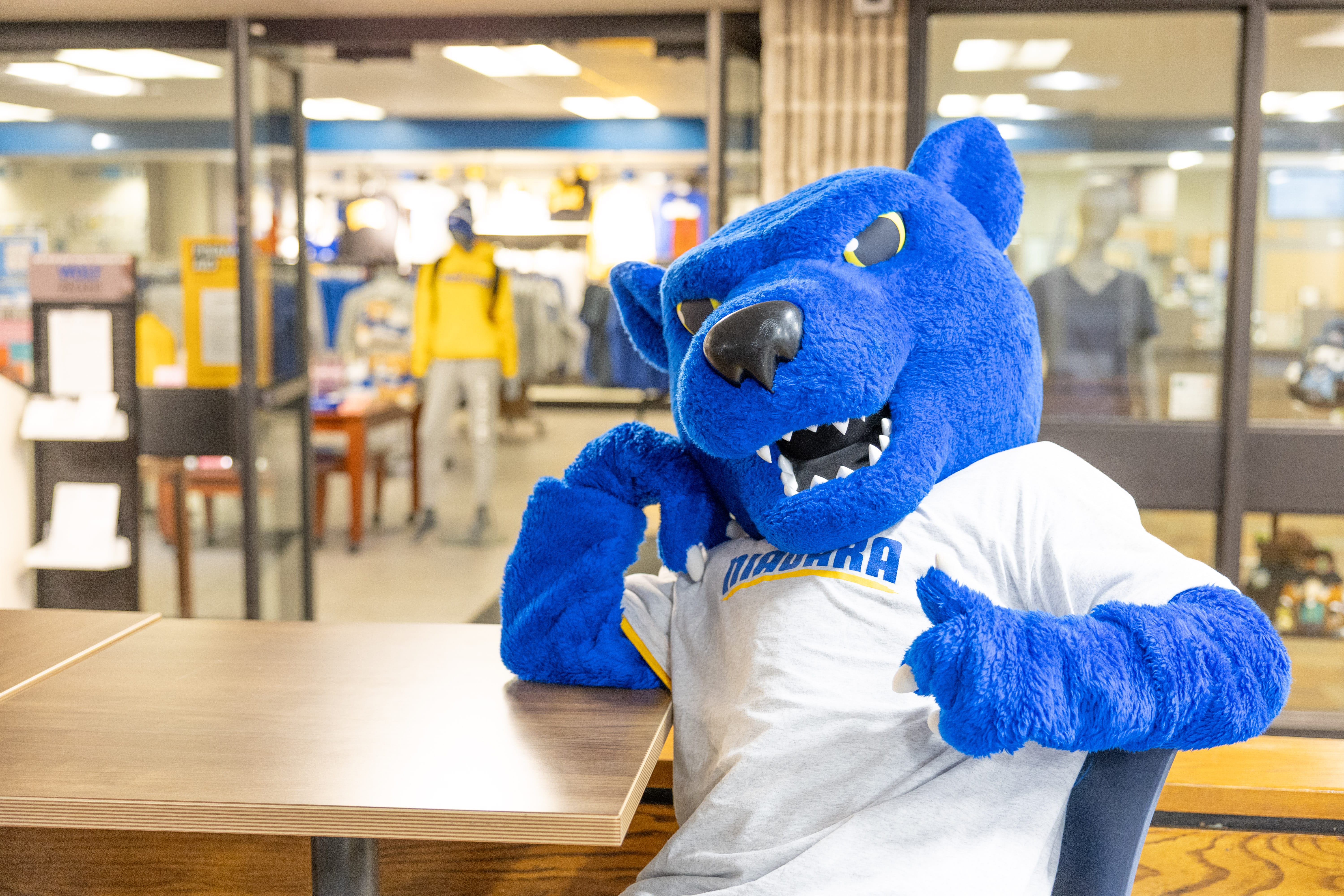 A person in a blue panther mascot costume wearing a Niagara T-shirt sits at a table indoors, striking a playful pose with thumbs up. The background shows a campus store with clothing displays.