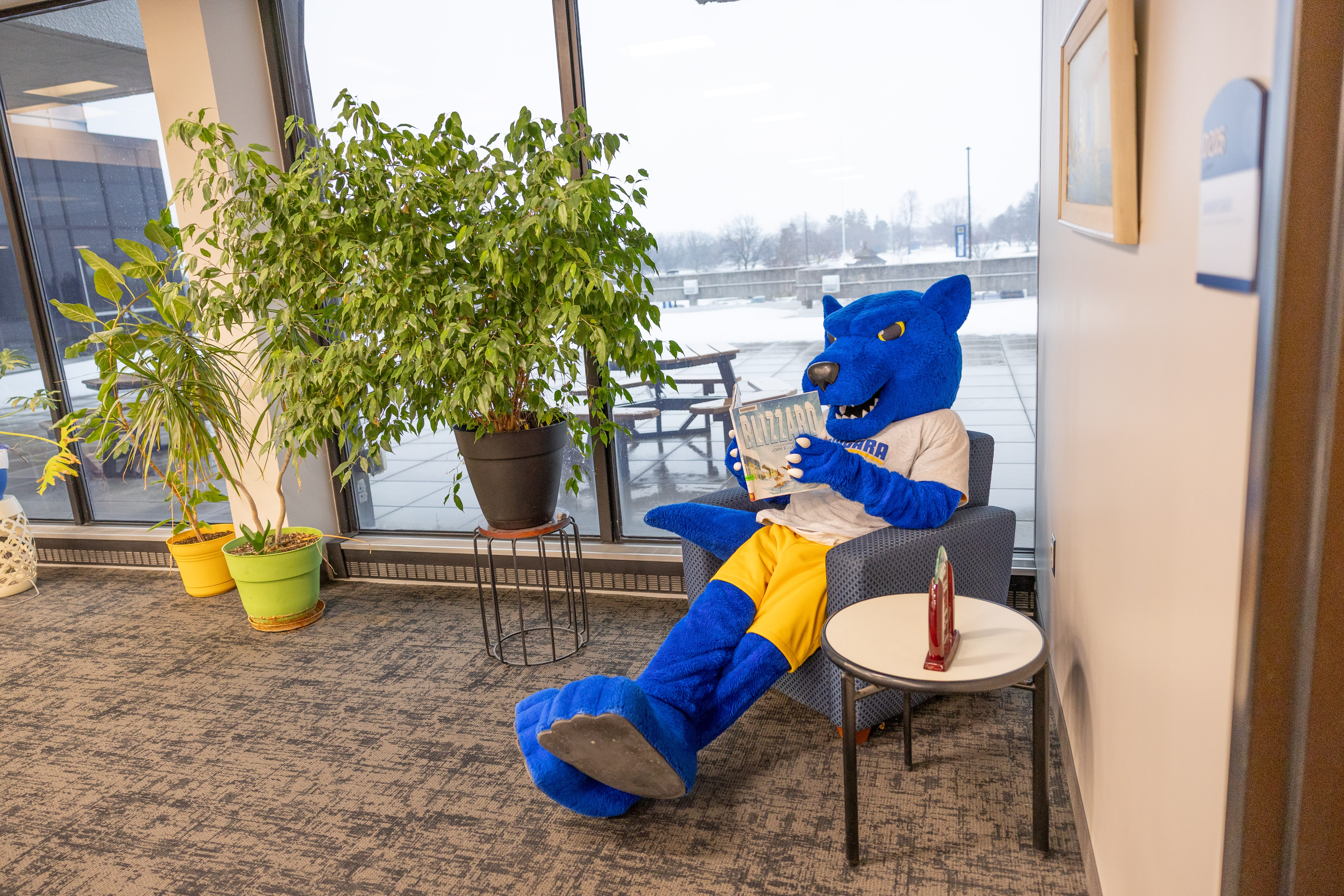 A person in a blue wolf mascot costume wearing a white shirt and yellow shorts sits in a lounge chair by a window, reading a book, with potted plants nearby and snow visible outside.