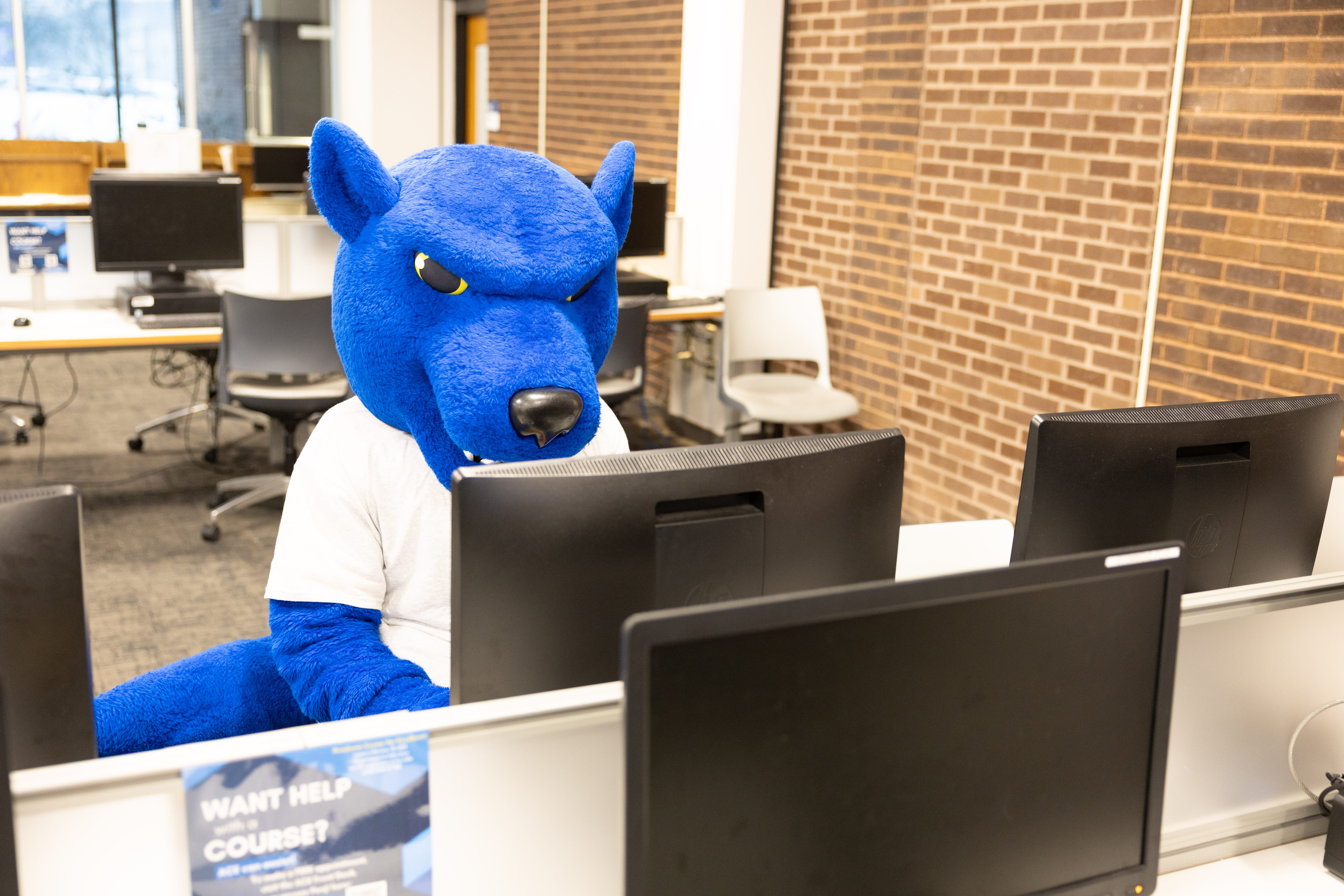 A person in a blue panther mascot costume sits at a computer in a modern computer lab with brick walls and large windows.
