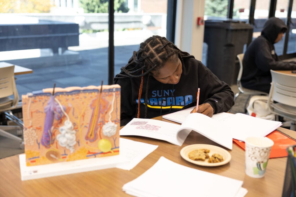 A student wearing a SUNY Nassau shirt sits at a table, writing in a notebook with textbooks, a model of human skin, a plate of cookies, and a paper cup nearby. Another student sits in the background.